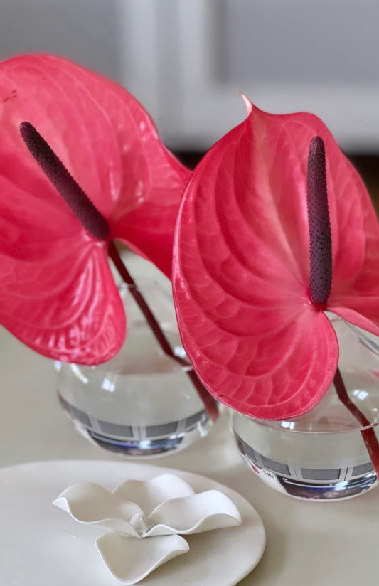 Tear Vase